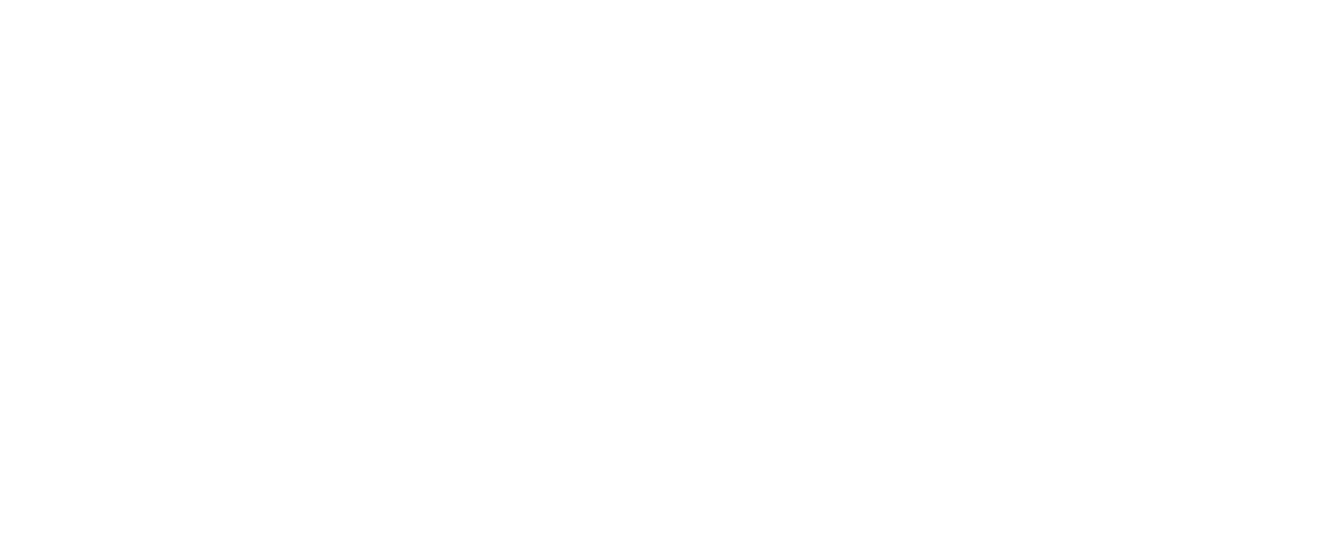 AltE Store